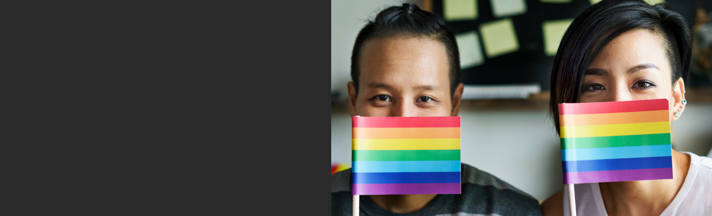 Same Sex Relationship Lawyer